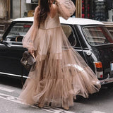 Olivia Wilde See through Dress Puff Sleeve Mesh Dress Long Dress