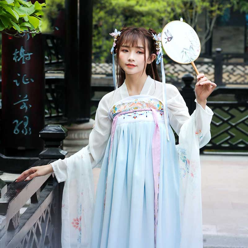 Chinese Traditional Dress Adult Embroidered Tang Guzheng PIPA