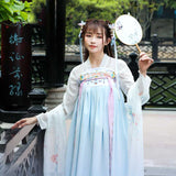 Chinese Traditional Dress Adult Embroidered Tang Guzheng PIPA