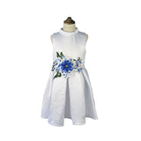 Girl Dress Spring/Summer Embroidered Princess Dress