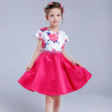 Girl Dress Spring and Summer Print Princess Dress