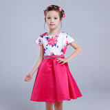 Girl Dress Spring and Summer Print Princess Dress