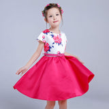 Girl Dress Spring and Summer Print Princess Dress