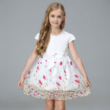 Girl Dress Spring/Summer Princess Dress