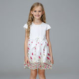 Girl Dress Spring/Summer Princess Dress