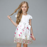 Girl Dress Spring/Summer Princess Dress