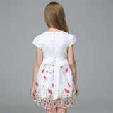 Girl Dress Spring/Summer Princess Dress