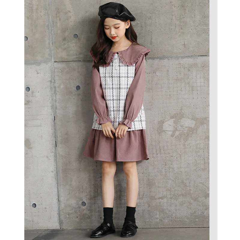 Autumn and Winter Children's Clothing Suit Vest Skirt Girl Children Princess Dress Children Girl's Dress