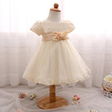 Toddler Girls Sequin Gown Dress Baby Flower Embroidered Children Shirt Princess Dress