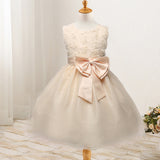 Toddler Girls Sequin Gown Dress Girls' Skirts Princess Dress with Corsage Color Net Dress Performance