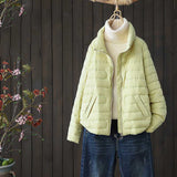 Women Winter Coats Puffer Jacket Down Coat Winter Down Jacket Female Stand Collar White Duck Down Women's Warm Coat