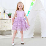 Girl Dress Summer Lace Vest Dress Princess Embroidered Dress