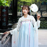Chinese Traditional Dress Chest-High Dress Tang Ancient Costume Performance Performance Wear