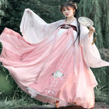 Chinese Traditional Dress Embroidered Large Swing Dress