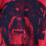 GVC Hoodie Dog Head Pattern round Neck Sweater Velvet Padded Loose Couple