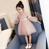 Girl Dress Spring and Summer Princess Lace Kids' Dress