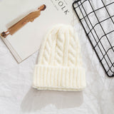 Toboggan Hat Women's Autumn and Winter Warm Casual Earmuffs Beanie Hat Tide