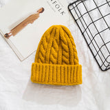 Toboggan Hat Women's Autumn and Winter Warm Casual Earmuffs Beanie Hat Tide