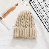Toboggan Hat Women's Autumn and Winter Warm Casual Earmuffs Beanie Hat Tide