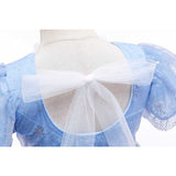 Halloween Frozen Dress Toddler Girls' Dress Frozen Princess Dress Children's Mesh Dress