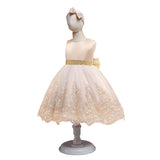 Toddler Girls Sequin Gown Dress Baby Birthday Dress Girl Princess Dress Embroidered Bow