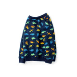 Children Boy Hoodie Children's Clothing Spring and Autumn Long Sleeve Sweater Long Sleeve