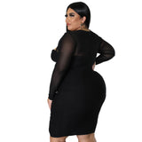 Nina Parker Black Dress plus Size Hollow Mesh Long Sleeve Narrow Dress