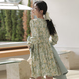 Aesthetic Dress Spring V-neck Floral Dress