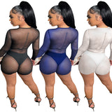 See through Pants Suit Sexy Pure Color Mesh See-through round Neck Long Sleeve Shorts Two-Piece Set for Women