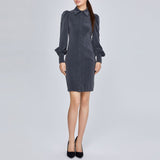Women Spring Dress Lantern Sleeve Waist Trimming Shirt Dress