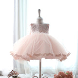 Princess Charlotte Flower Girl Dress Princess Pink Birthday Dress Costume for Piano Performance Summer