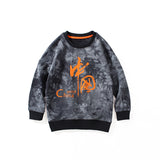 Children Boy Hoodie Spring Boys' Terry Sweater Sweater