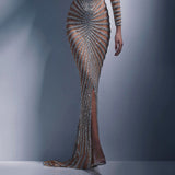 Olivia Wilde See through Dress Mesh Long Sleeve Split Dress