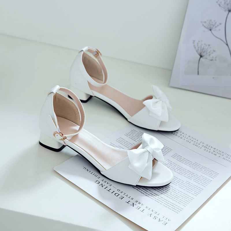 Flat Dress Sandals Summer Low Heel Buckle Hollow Sandals