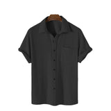 Men Hawaii Shirts Summer Men