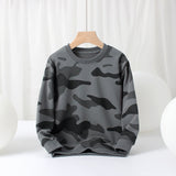 Children Boy Hoodie Children's Clothing Spring and Autumn Boy's Hoody Sweater