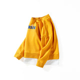 Children Boy Hoodie Spring and Autumn Children's Clothing Long Sleeve Sweater Long Sleeve