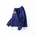 Children Boy Hoodie Spring and Autumn Children's Clothing Long Sleeve Sweater Long Sleeve