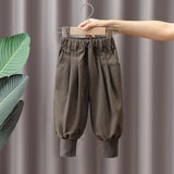 Toddler Boys Pants Children's Suit Pants Autumn Thin Casual Loose Pants