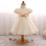 Toddler Girls Sequin Gown Dress Baby Flower Embroidered Children Shirt Princess Dress