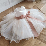 Princess Charlotte Flower Girl Dress Summer Beige Princess Dress