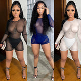 See through Pants Suit Sexy Pure Color Mesh See-through round Neck Long Sleeve Shorts Two-Piece Set for Women