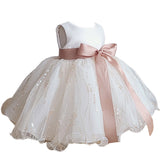 Princess Charlotte Flower Girl Dress Summer Beige Princess Dress