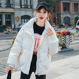 Women Winter Coats Puffer Jacket Down Coat Fall/Winter Warm Down Jacket Women's Short Stand Collar Loose Glossy