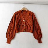 90S Outfits Autumn and Winter Two-Color V-neck Long-Sleeved Jacket Loose Knitted Top