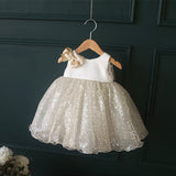 Princess Charlotte Flower Girl Dress Summer Baby Dress