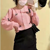 Preppy Aesthetic Sweater round Neck Spring and Autumn Bow Decoration