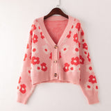 Preppy Aesthetic Sweater Knitted Cardigan for Women Autumn and Winter Loose Fashion