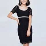 Women Spring Dress Lace Sexy Dress Cinched Slimming Short Sleeves Back Slit Dress