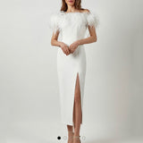 Olivia Wilde Dress Evening Gown Feather Dress Banquet Temperament